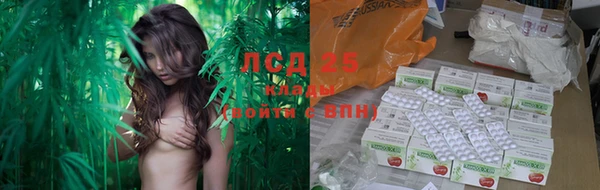 ПСИЛОЦИБИНОВЫЕ ГРИБЫ Надым
