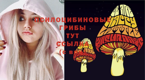 гидропоника Наволоки
