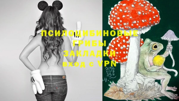 ПСИЛОЦИБИНОВЫЕ ГРИБЫ Надым