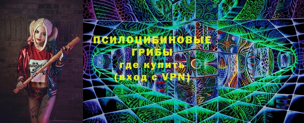 ПСИЛОЦИБИНОВЫЕ ГРИБЫ Надым