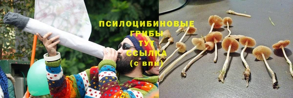 гидропоника Наволоки