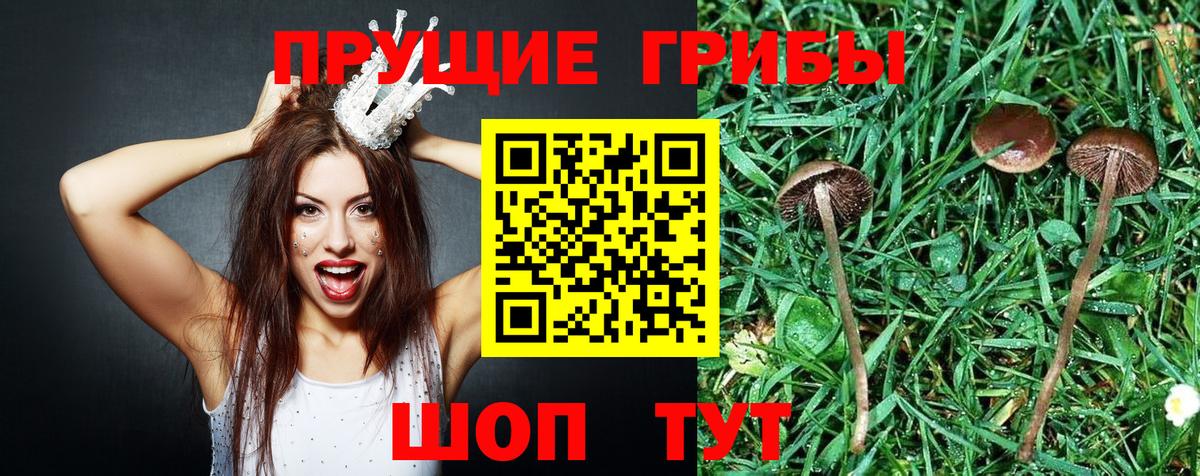 APVP Коммунар
